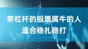 带杠杆的股票属牛的人适合稳扎稳打