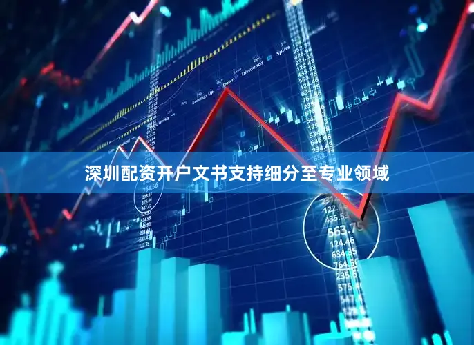 深圳配资开户文书支持细分至专业领域