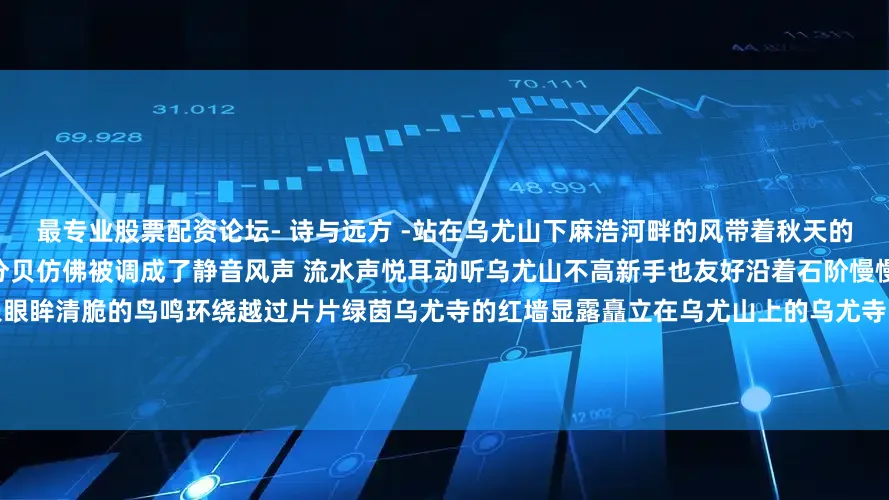 最专业股票配资论坛- 诗与远方 -站在乌尤山下麻浩河畔的风带着秋天的气息展开剩余82%清爽舒适汽车的分贝仿佛被调成了静音风声 流水声悦耳动听乌尤山不高新手也友好沿着石阶慢慢攀登沿路把盛放的花 碧绿的叶纳入眼眸清脆的鸟鸣环绕越过片片绿茵乌尤寺的红墙显露矗立在乌尤山上的乌尤寺常年被翠竹古木掩映阳光普照时院前的小广场可看流波泛光 飞鸟翱翔阴雨绵绵时则可见江雾腾腾 远山朦胧红墙瓦黛间的缕缕青烟展露出游客们